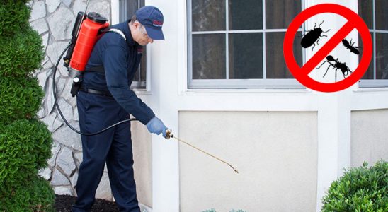 Karakeçili Akrep İlaçlama böcek ilaçlama ve haşere kontrolü — ilaclama-tr.com